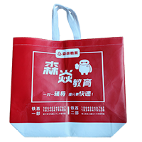 武隆LB37培训班广告袋